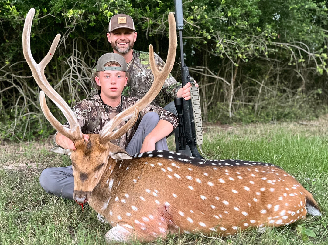 Cedar Cove Ranch主图