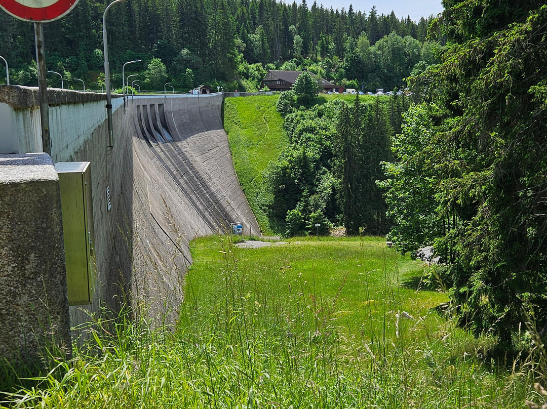 Schluchsee Rundfahrten景点图片