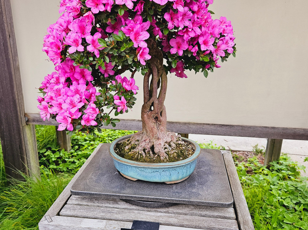 Matthaei Botanical Gardens-安娜堡必去景点