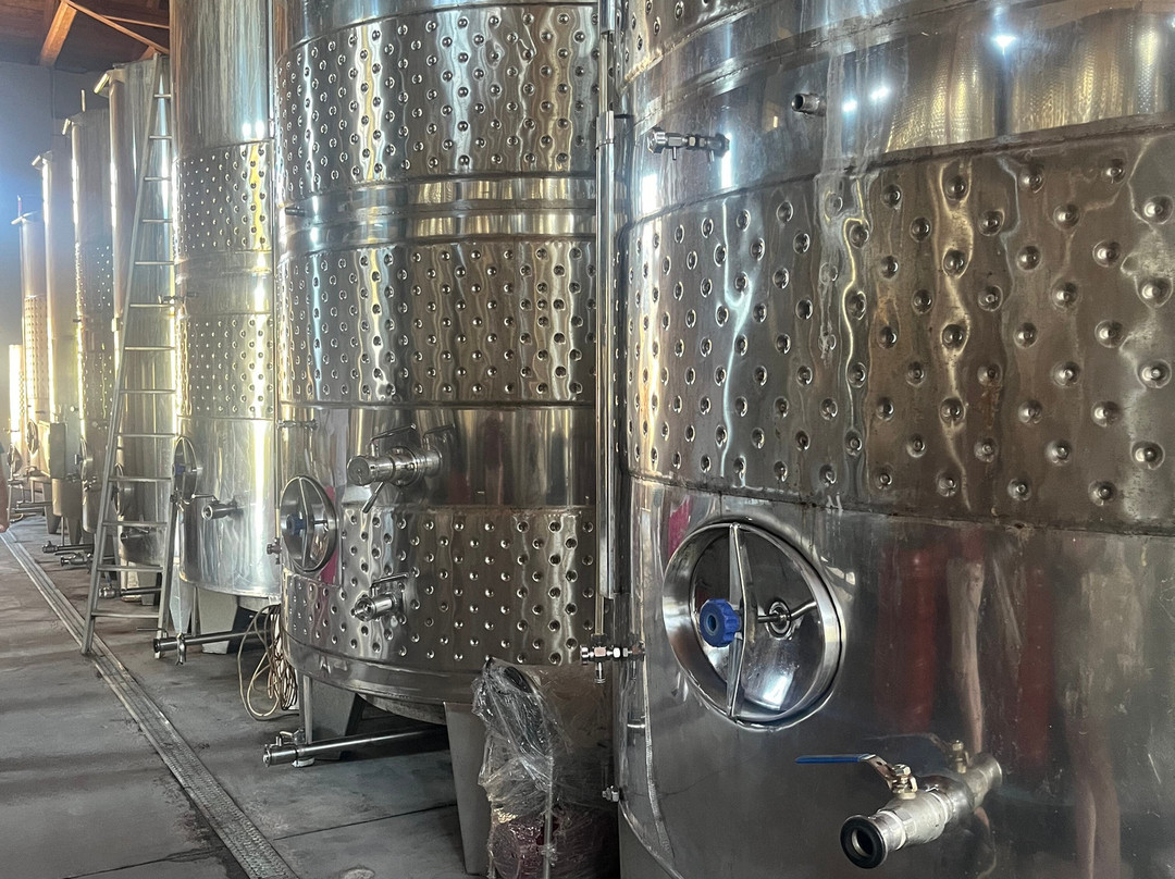 Lefkas Earth Winery-莱夫卡扎必去景点