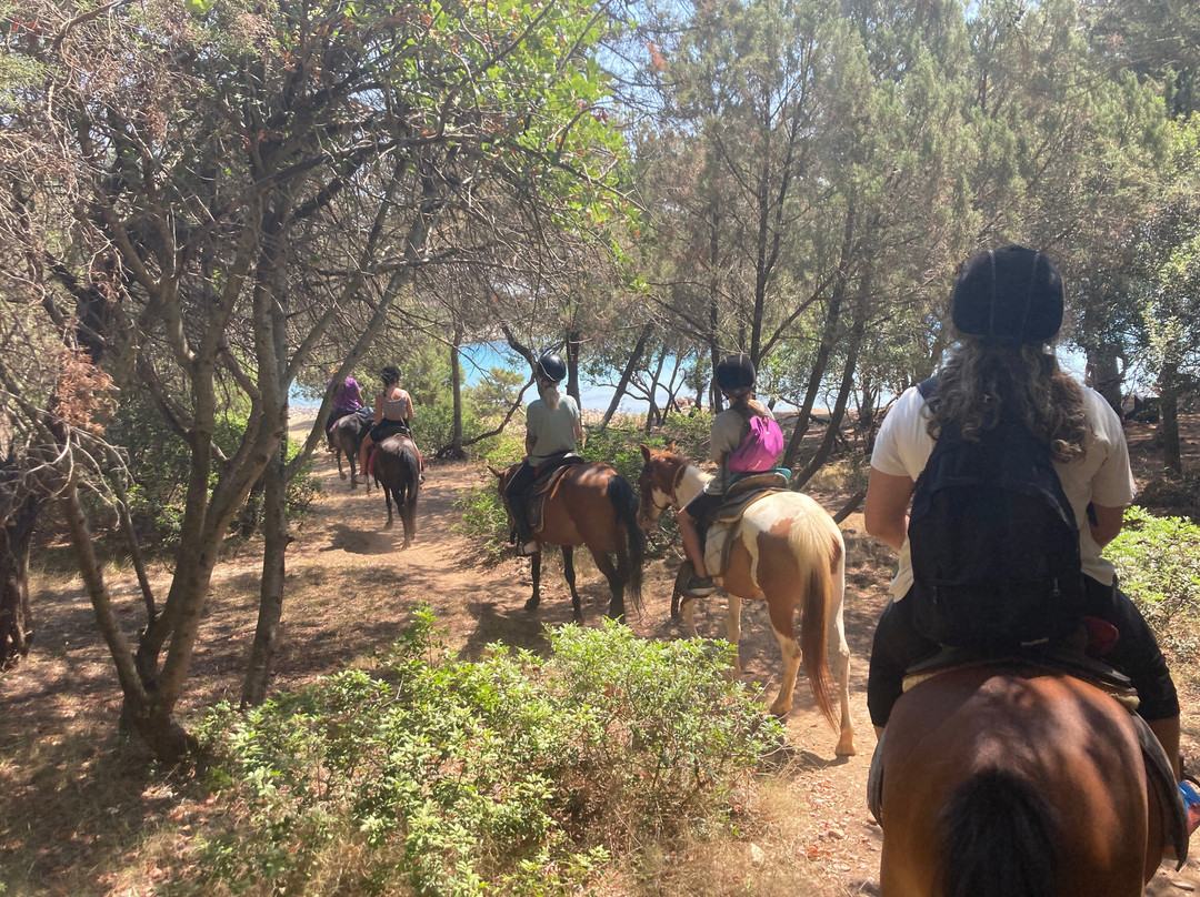 Panouris Ranch-Samos Town必去景点