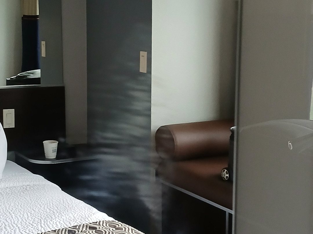 密歇根城市麦克罗特套房酒店主图