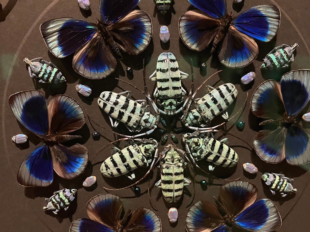 Science Museum of Minnesota-圣保罗必去景点