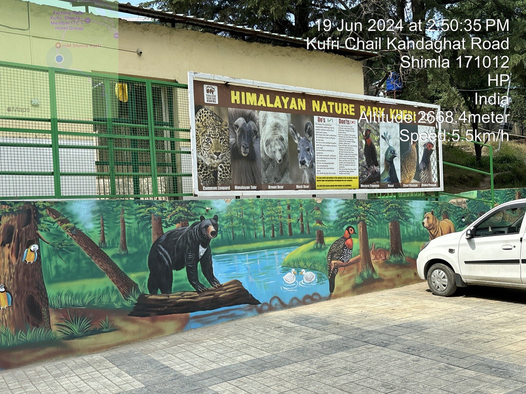 Himalayan Nature Park-Kufri必去景点