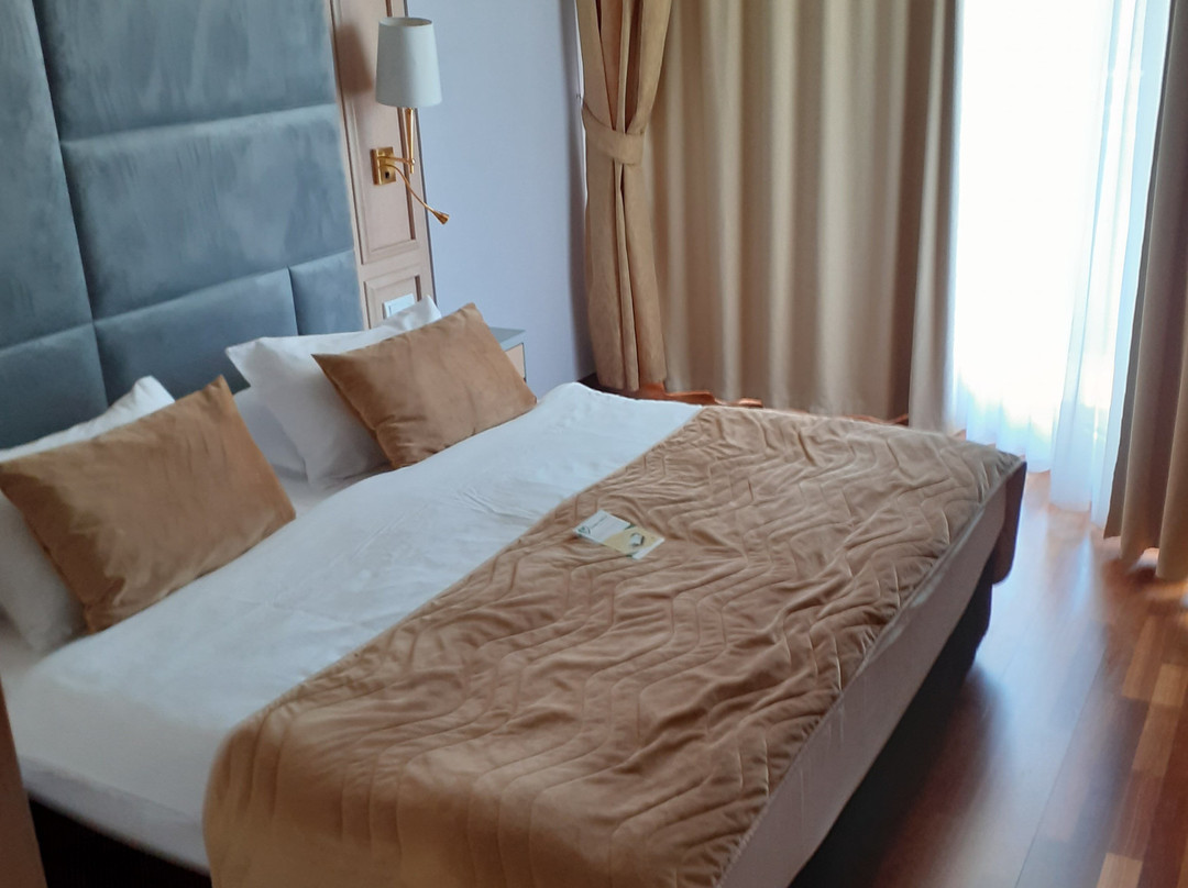 A Hoteli - Hotel Izvor主图