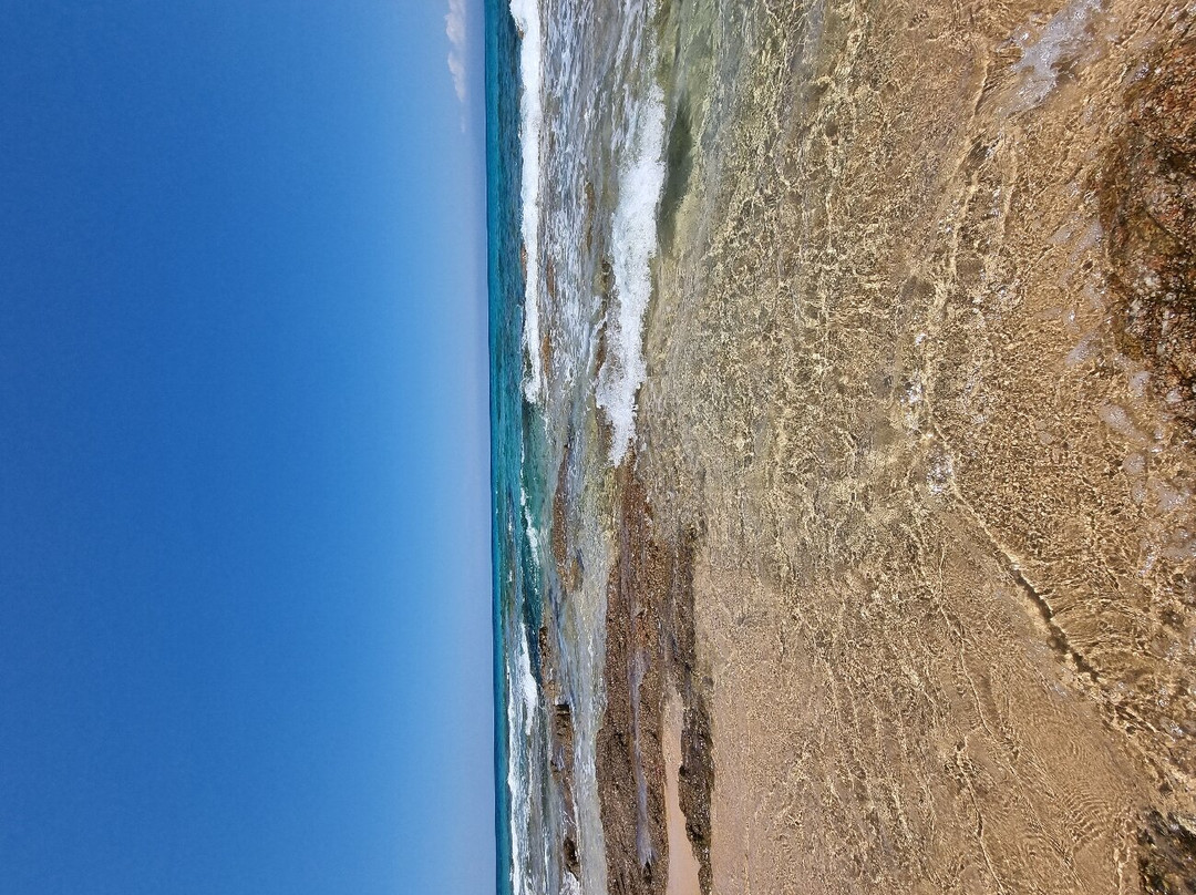 Lido Dog Beach-Aglientu必去景点