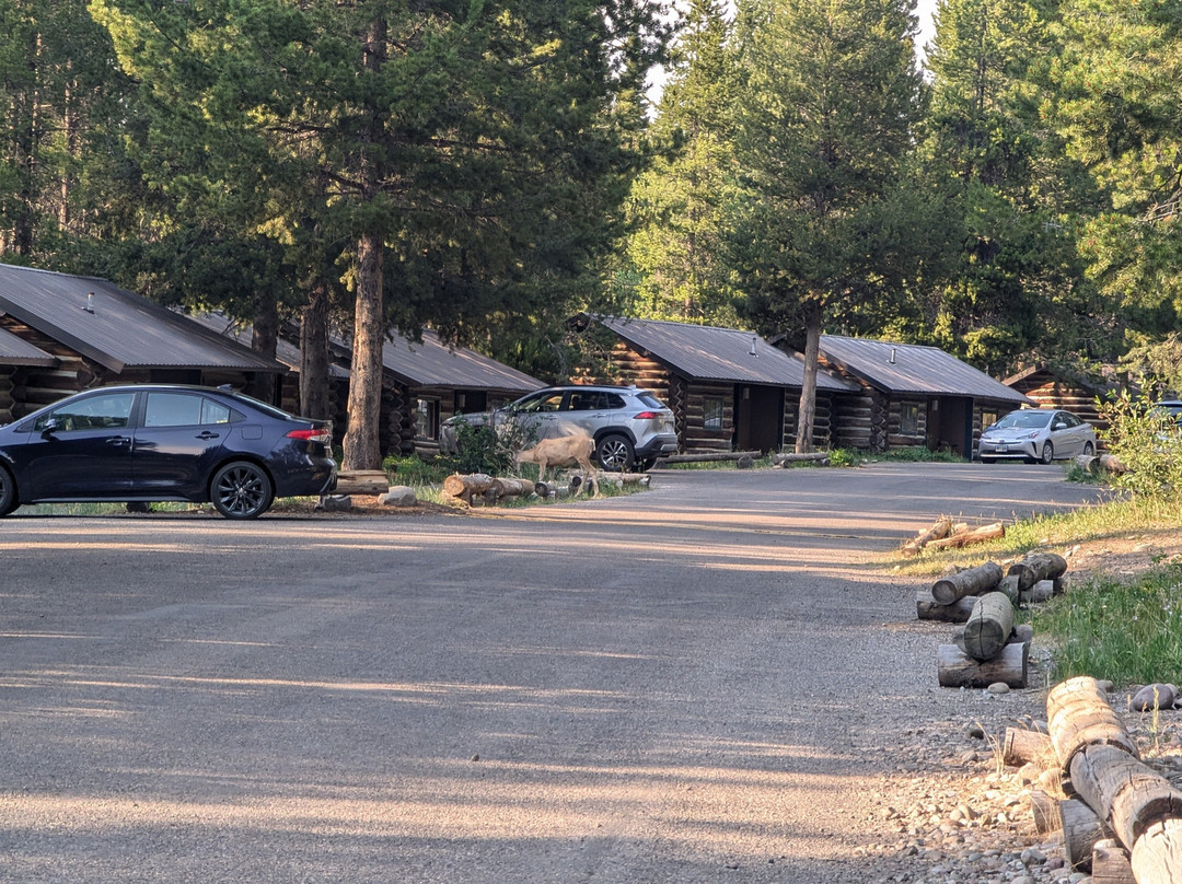 科尔特湾村酒店主图