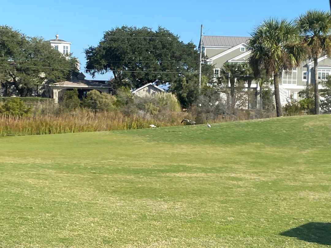 The Plantation Course at Edisto景点图片