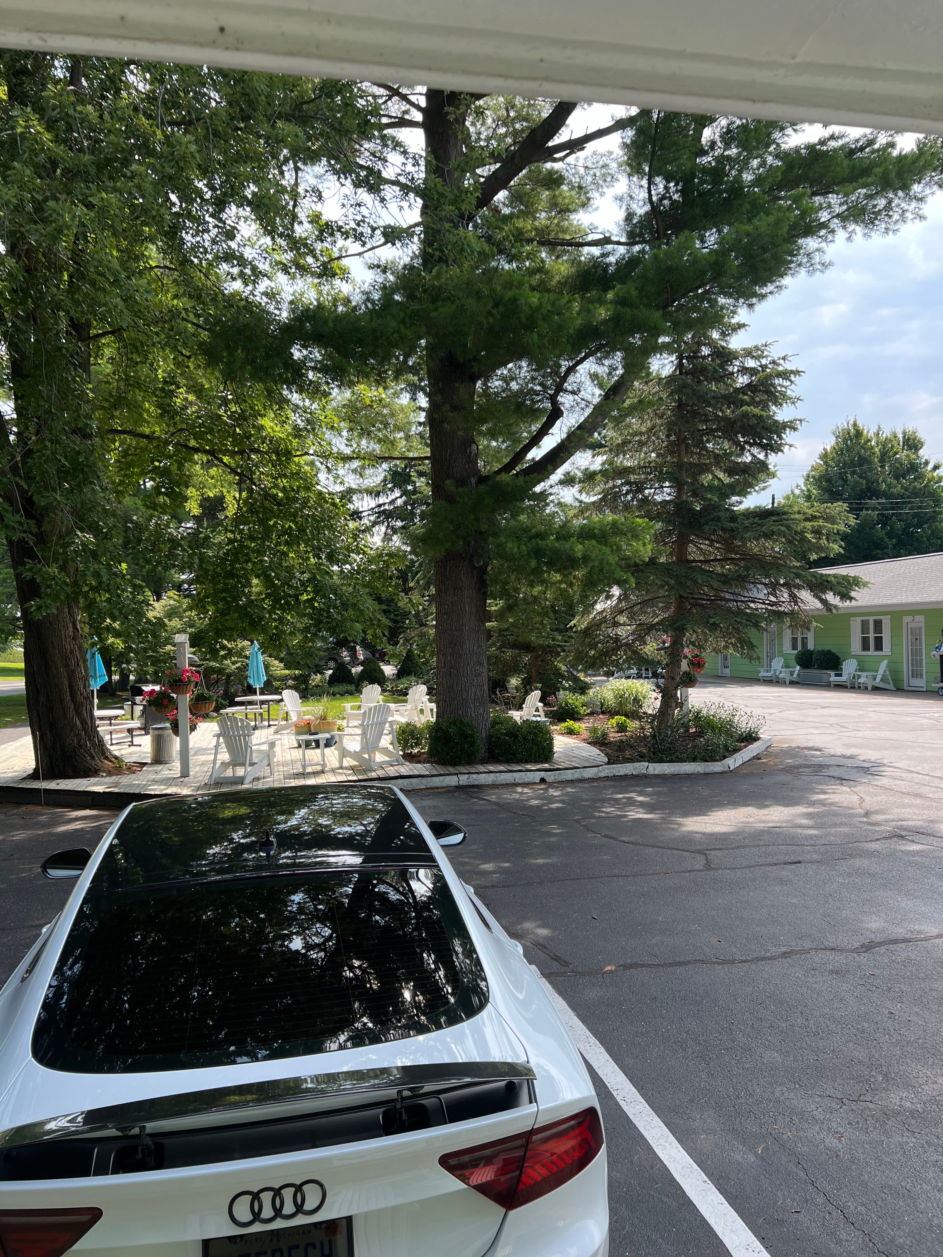 The Pines Motor Lodge-酒店景观