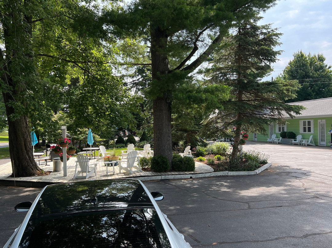 The Pines Motor Lodge主图