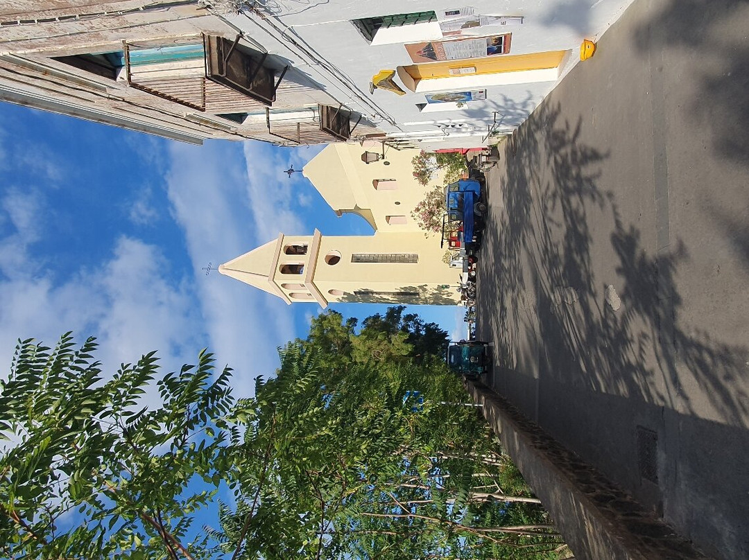 Chiesa di San Vincenzo景点图片