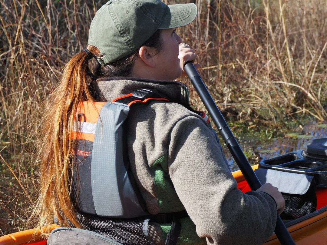 Okefenokee & Satilla Expeditions LLC