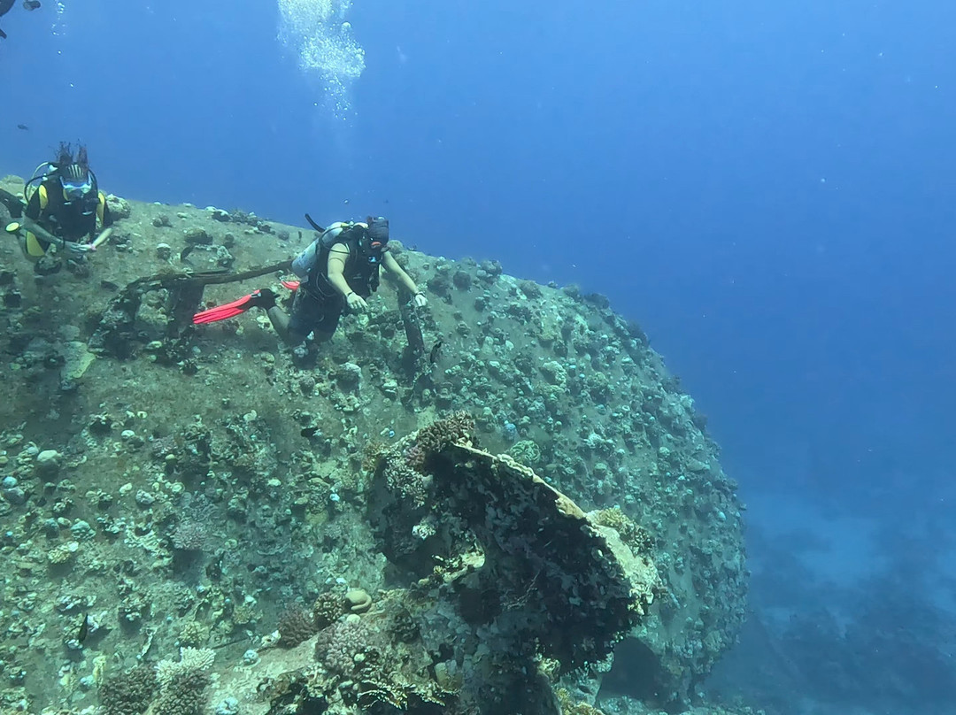 Seaworld Diving Center-马萨阿拉姆必去景点