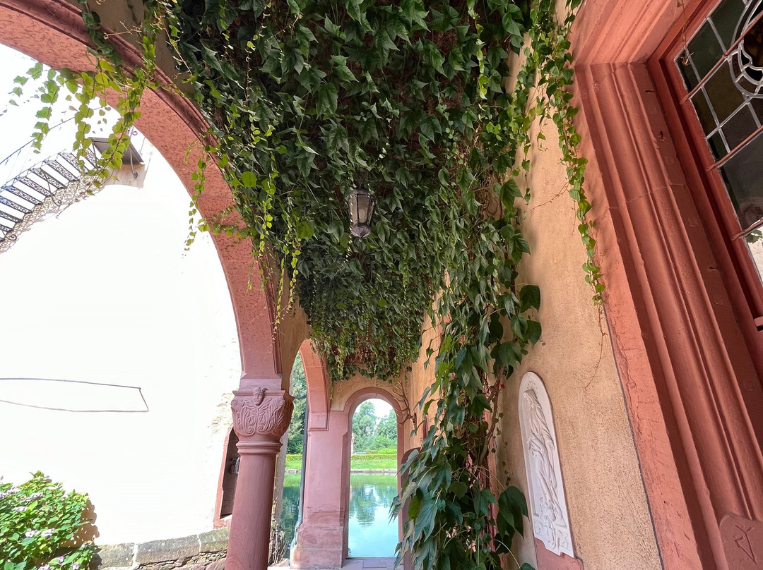 Schloss Mespelbrunn景点图片
