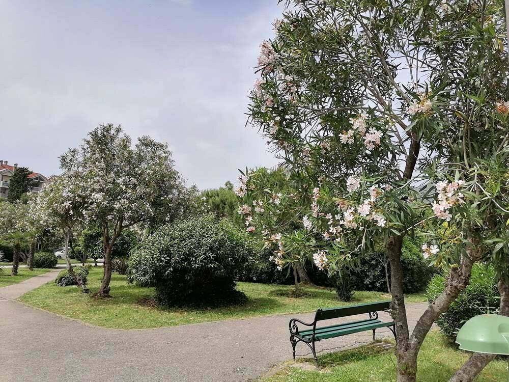 Pine Embankment-Tivat Municipality必去景点