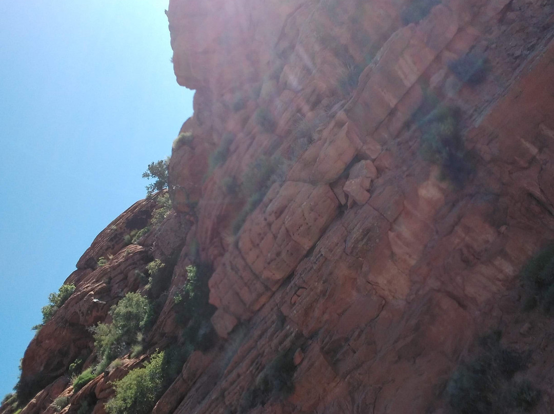 DANTE-斯普林代尔必去景点