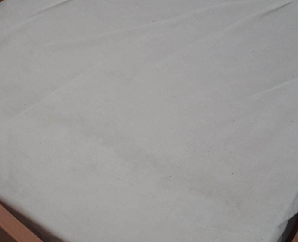 I Giardini di Atena主图