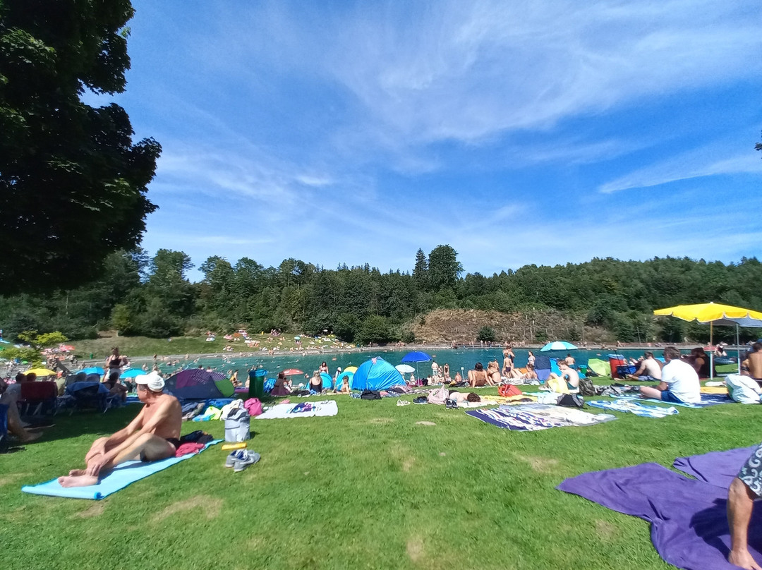 Waldfreibad Gudenhagen景点图片