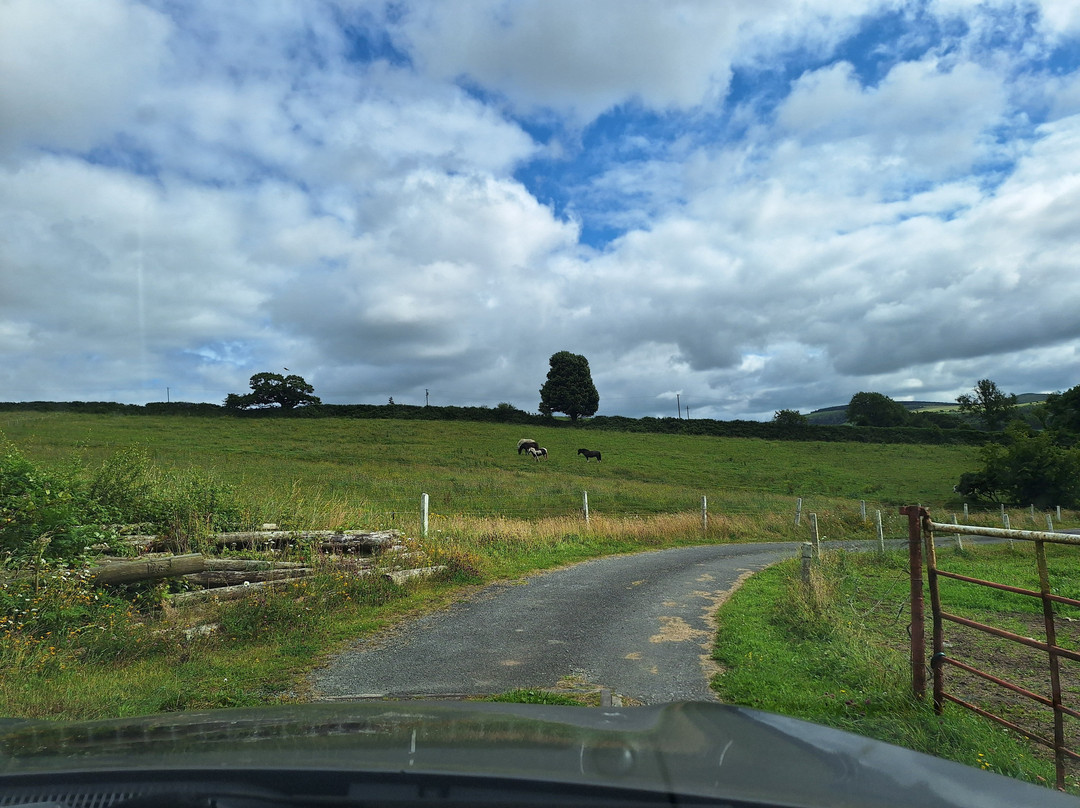 Ballyhoura Horse Trekking-Kilfinane必去景点