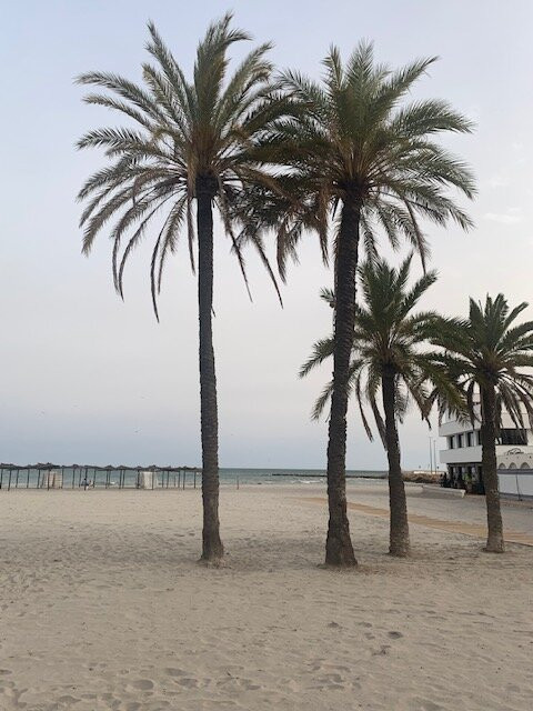 Playa De Levante景点图片