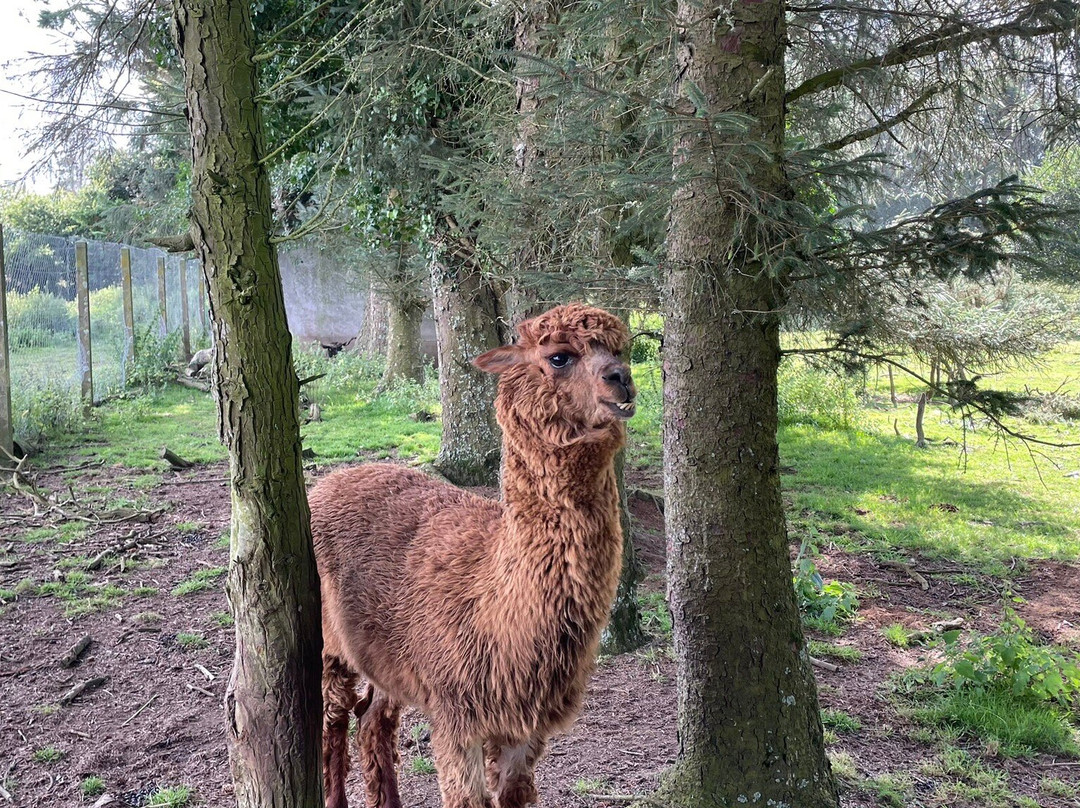 La Pommeraie-Peumerit必去景点