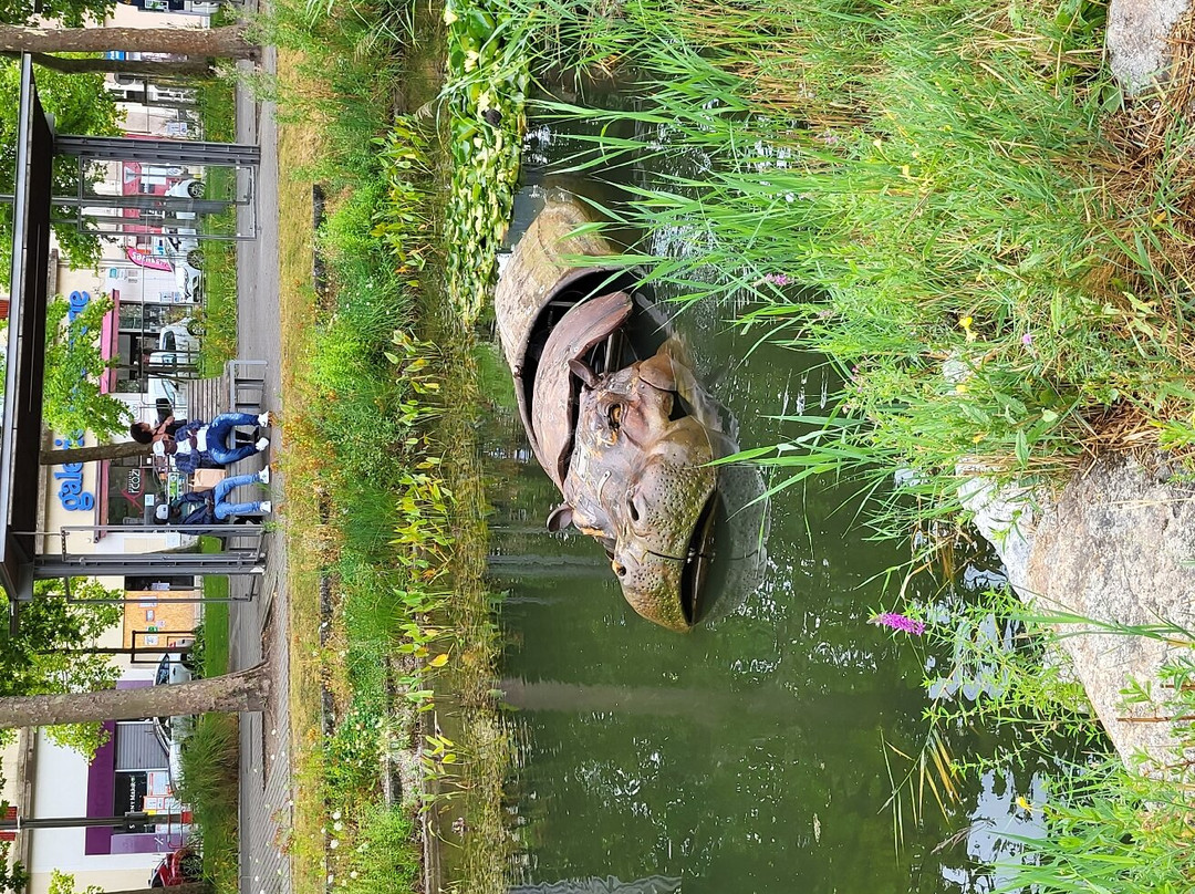 Les Animaux de la Place景点图片