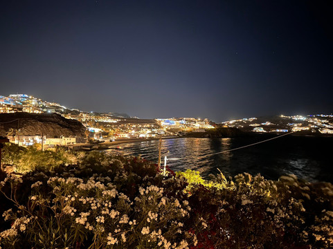 阿多尼斯酒店主图