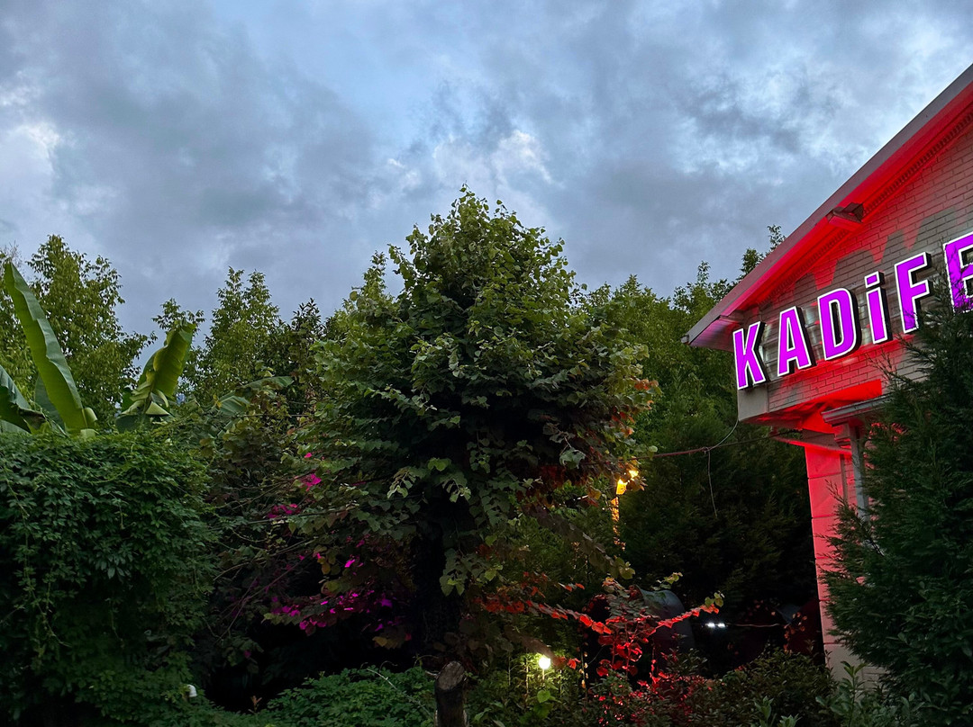 Kadifeli Konak Boutique Hotel主图