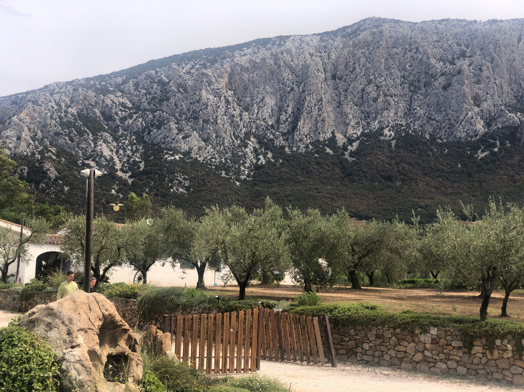 Agriturismo Guthiddai