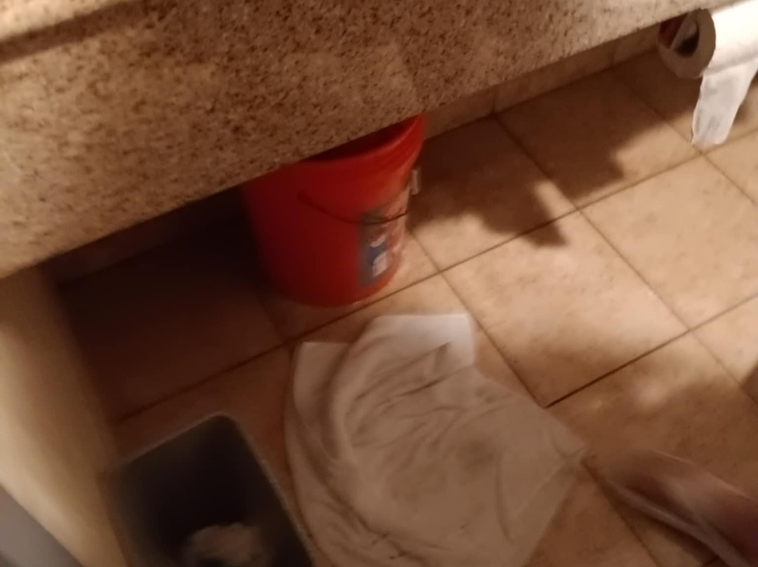 Best Western Plus Waynesboro Inn & Suites Conference Center主图