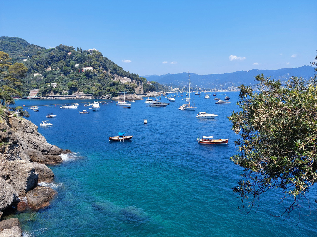 艾尔伯格那锡那里酒店主图