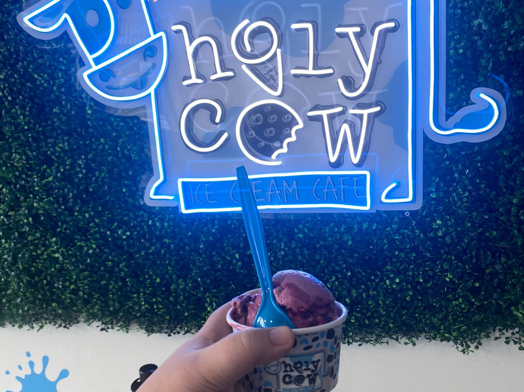 Holy Cow Ice Cream Cafe