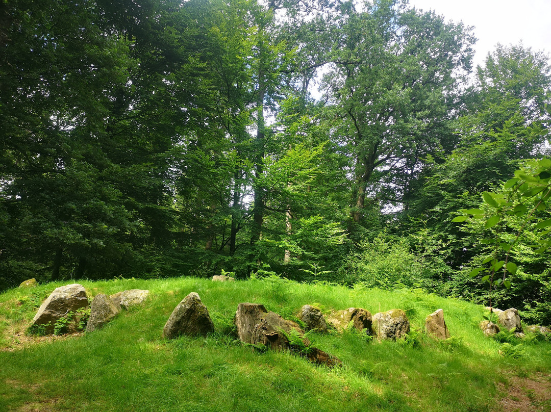 Steinzeitpark Dithmarschen景点图片