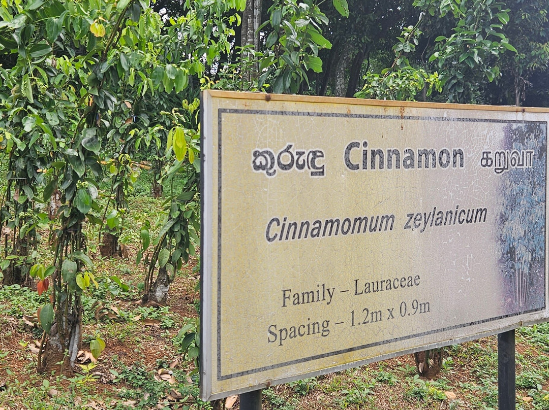 National Spice Garden of Sri Lanka-Matale必去景点
