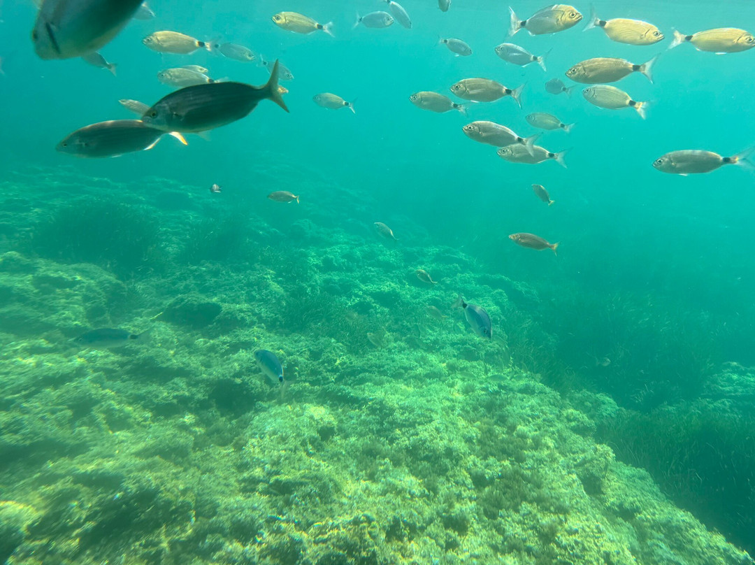 AQUAVISION-Six-Fours-les-Plages必去景点