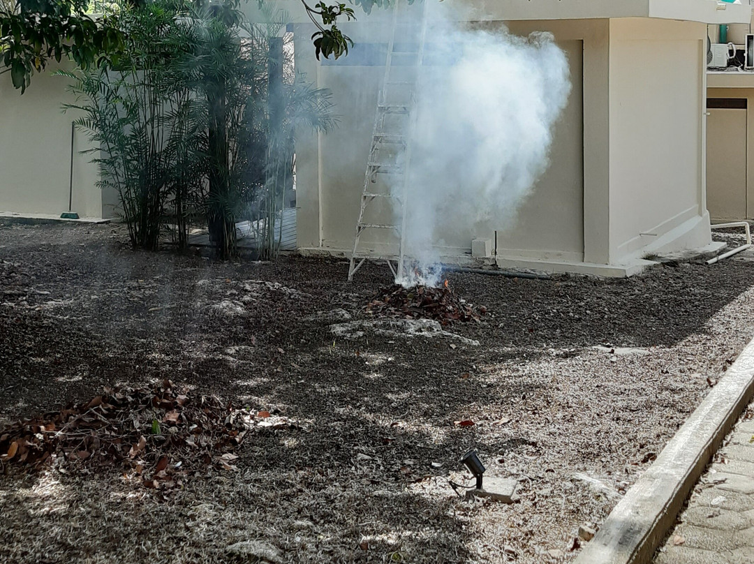 Las Nubes by Mij主图