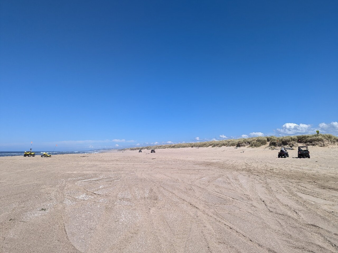 Steve's ATV-North Bend必去景点