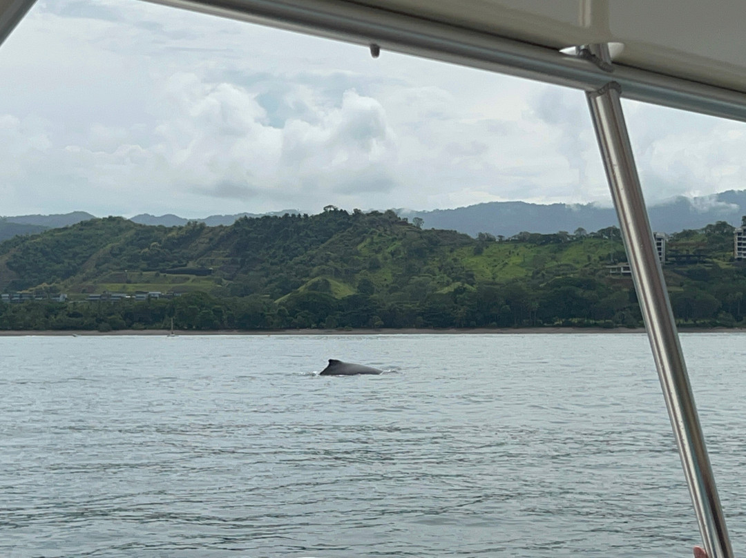 Playa Grande Shuttle & Tours-大滩必去景点