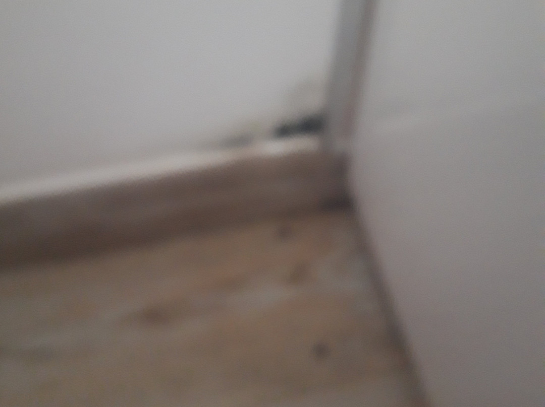 Casa Rural La Cortina主图