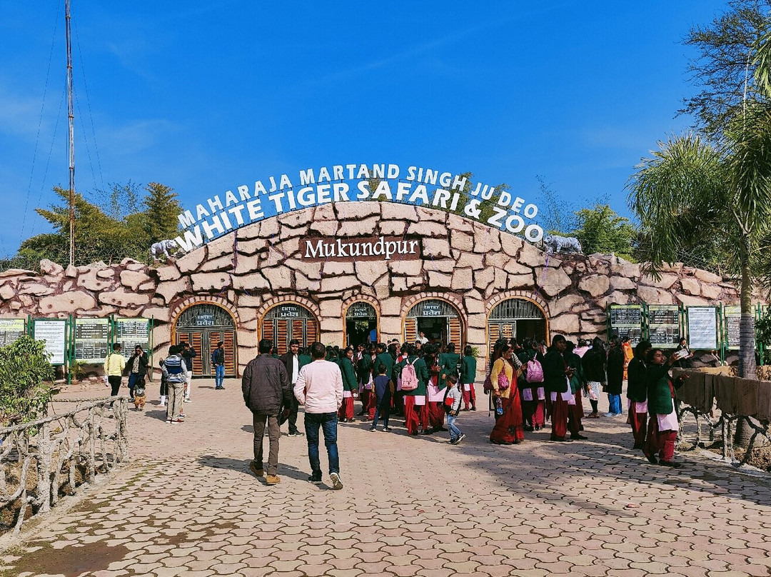 White Tiger Safari Rewa景点图片