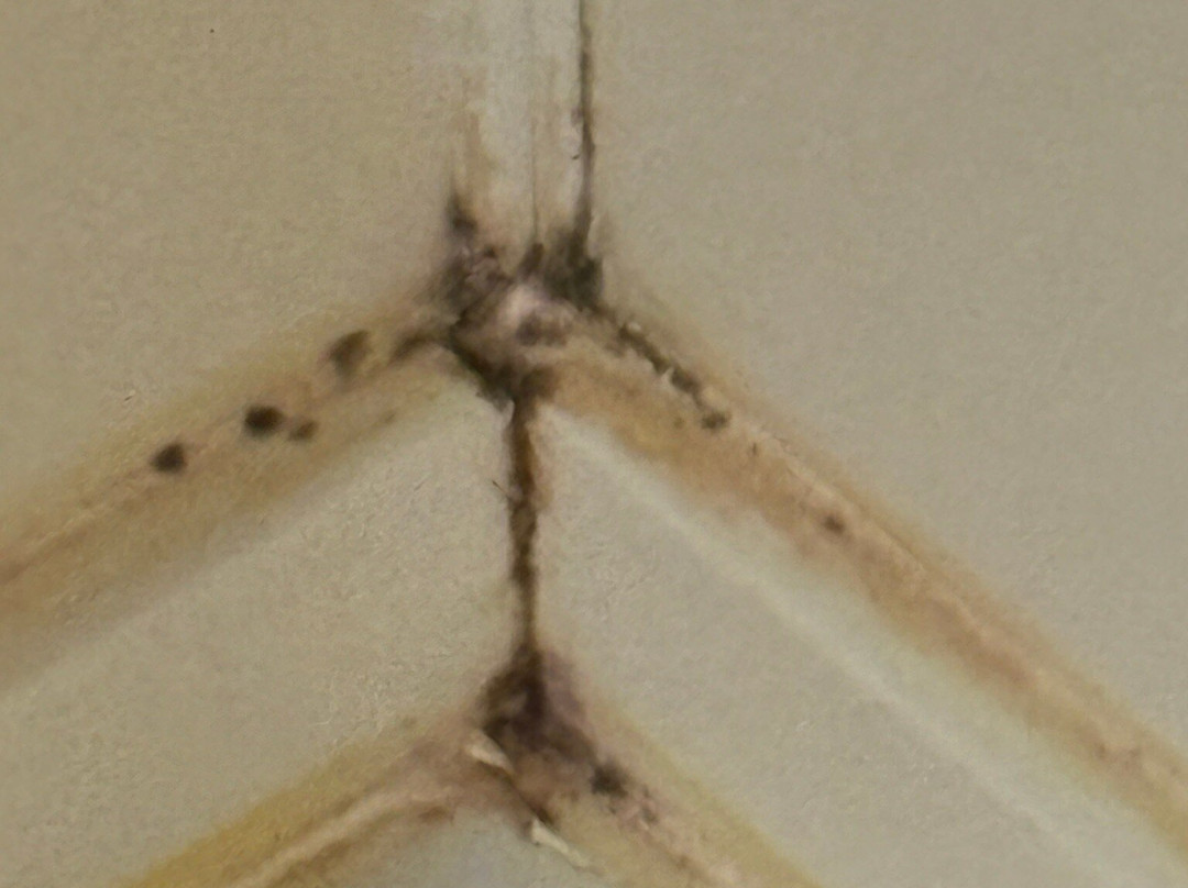 Hilton Garden Inn Rochester Downtown主图