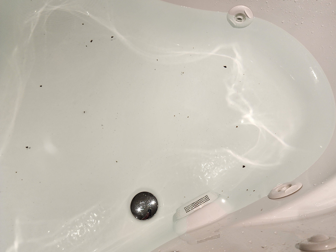 Firekeeper's Casino-Battle Creek必去景点