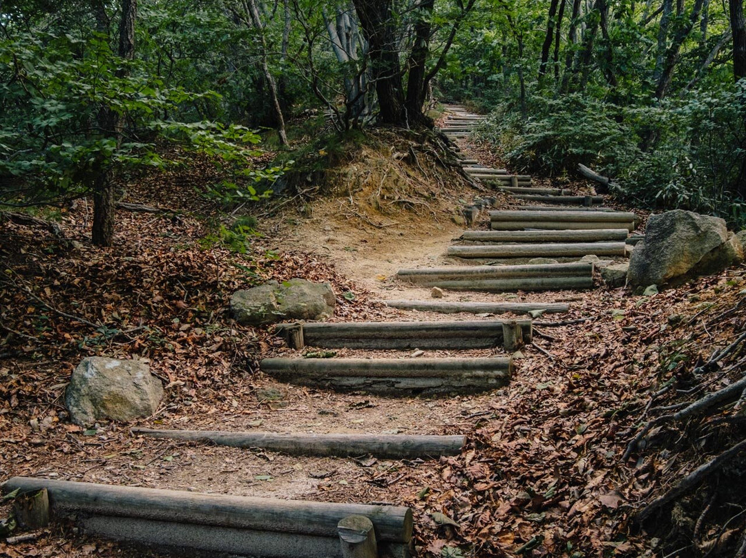 Moak Mountain-全州市必去景点