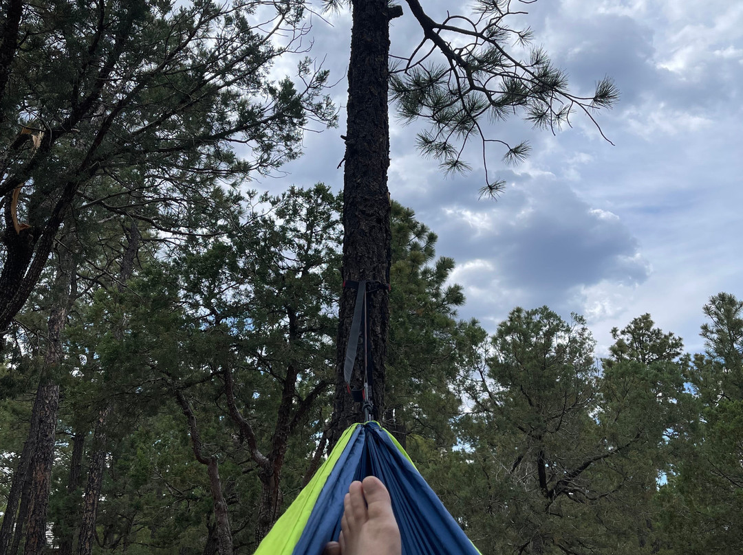 Manzano Mountains State Park-Mountainair必去景点
