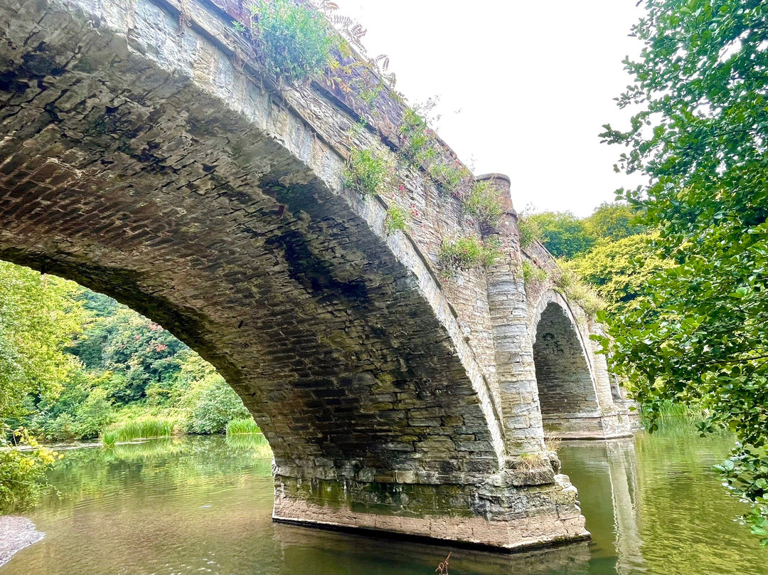 Dinham Bridge景点图片