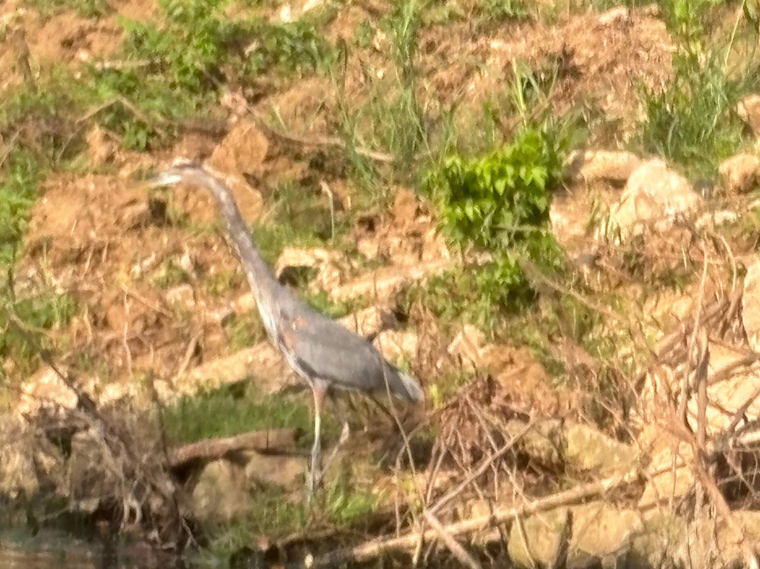 White River Kayaking & Outdoors-Hollister必去景点
