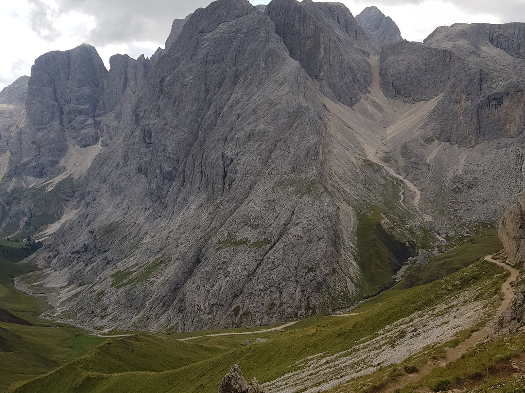 Artnatur Dolomites Hotel & Spa主图
