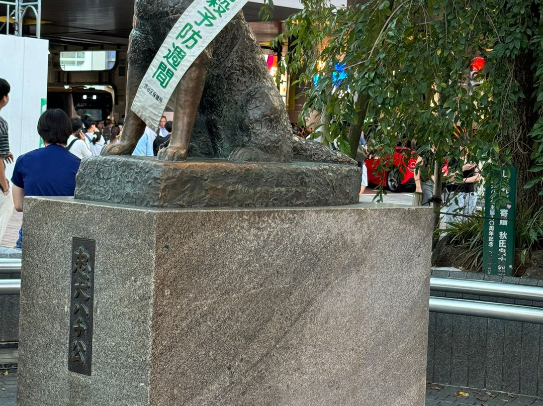 Statue of Hachiko & Hidesaburo Ueno景点图片