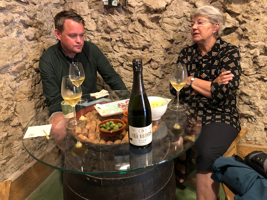 Cava Sola Raventos景点图片