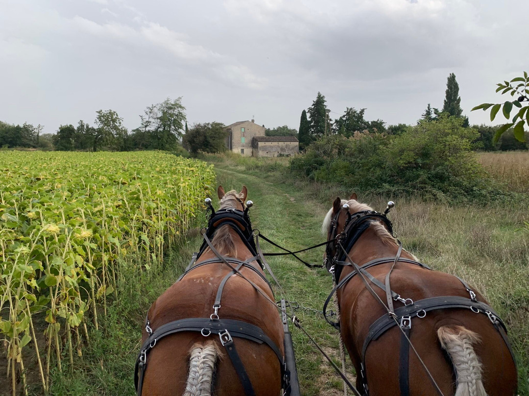 Les Chevaux De L'uzège-Saint-Victor-des-Oules必去景点